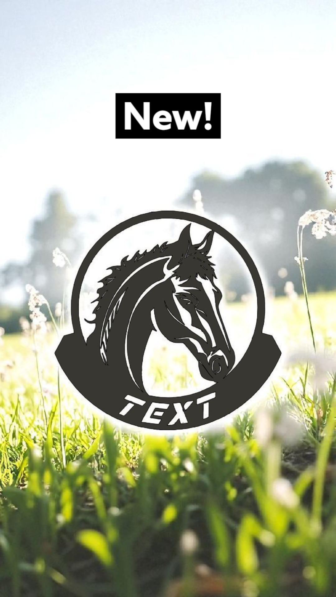 Namensschild mit Pferd  Boxenschild personalisiert Hofschild Türschild für Pferdestall Stallschild mit Pferd  Pferdeboxenschild