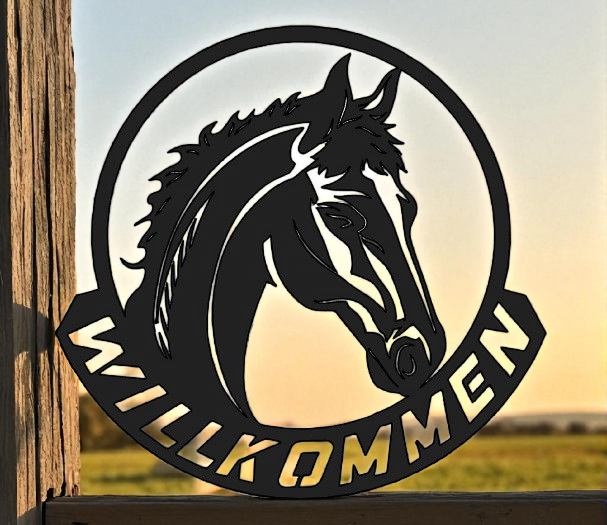 Namensschild mit Pferd  Boxenschild personalisiert Hofschild Türschild für Pferdestall Stallschild mit Pferd  Pferdeboxenschild
