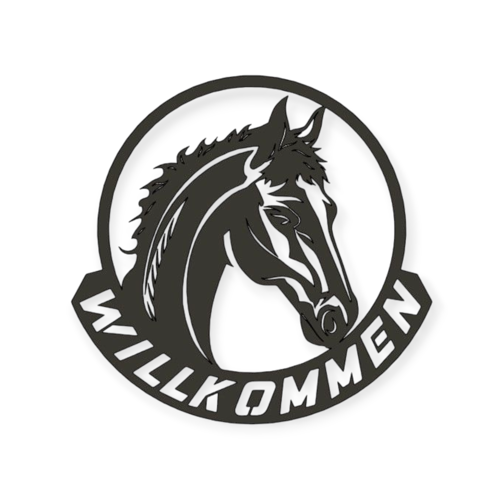 Namensschild mit Pferd  Boxenschild personalisiert Hofschild Türschild für Pferdestall Stallschild mit Pferd  Pferdeboxenschild
