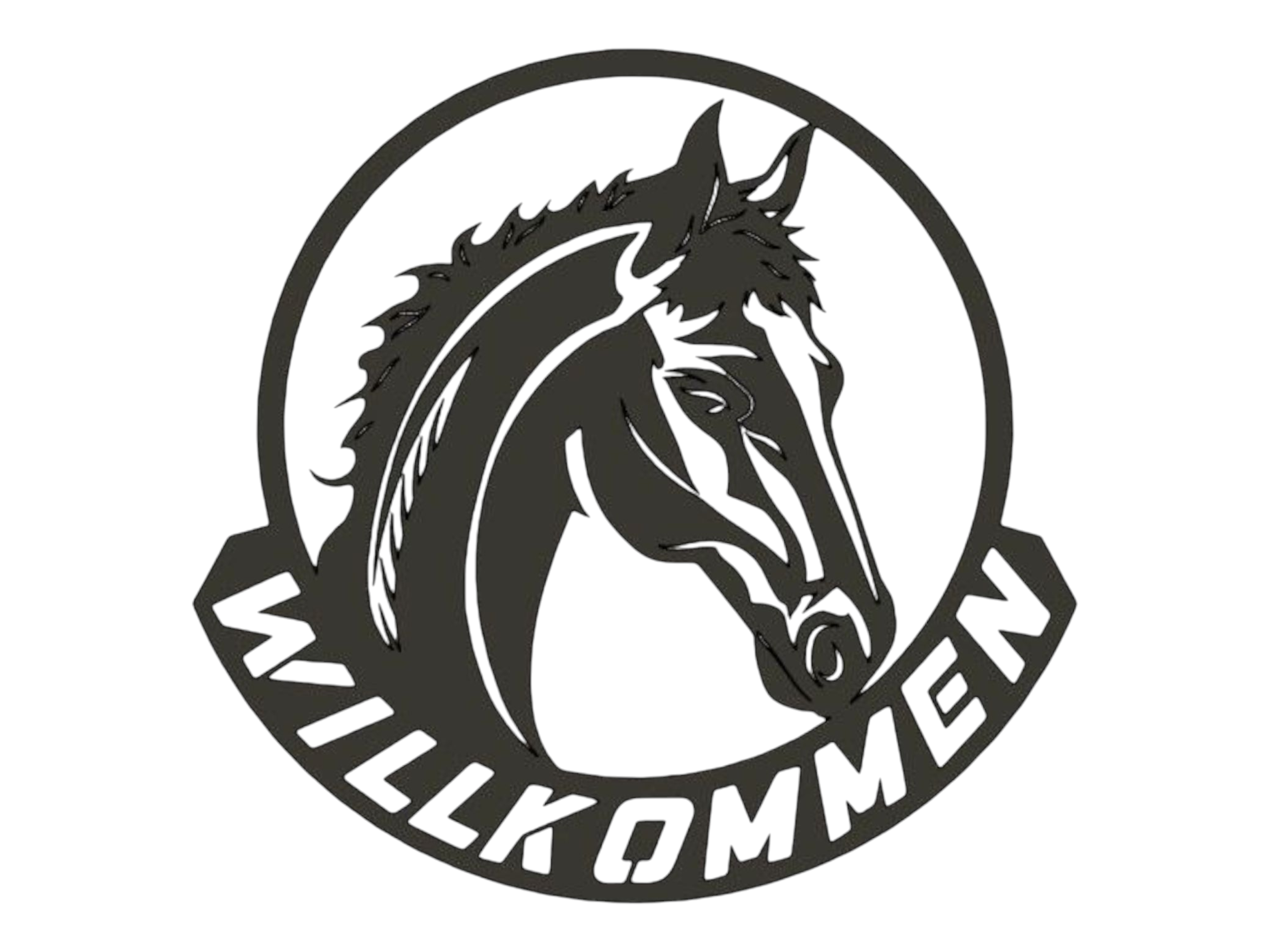 Namensschild mit Pferd  Boxenschild personalisiert Hofschild Türschild für Pferdestall Stallschild mit Pferd  Pferdeboxenschild